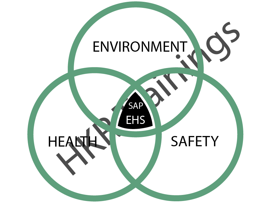 What is SAP EHS